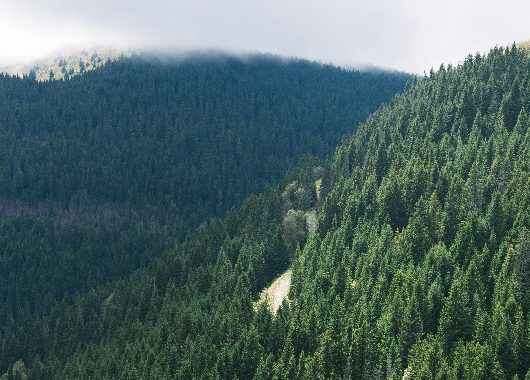Beograd - Kopaonik
